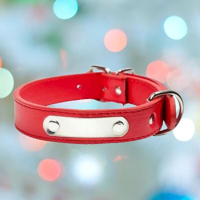 Collier de Chien - LeatherDogCollar™ - Rouge - Amour de chien