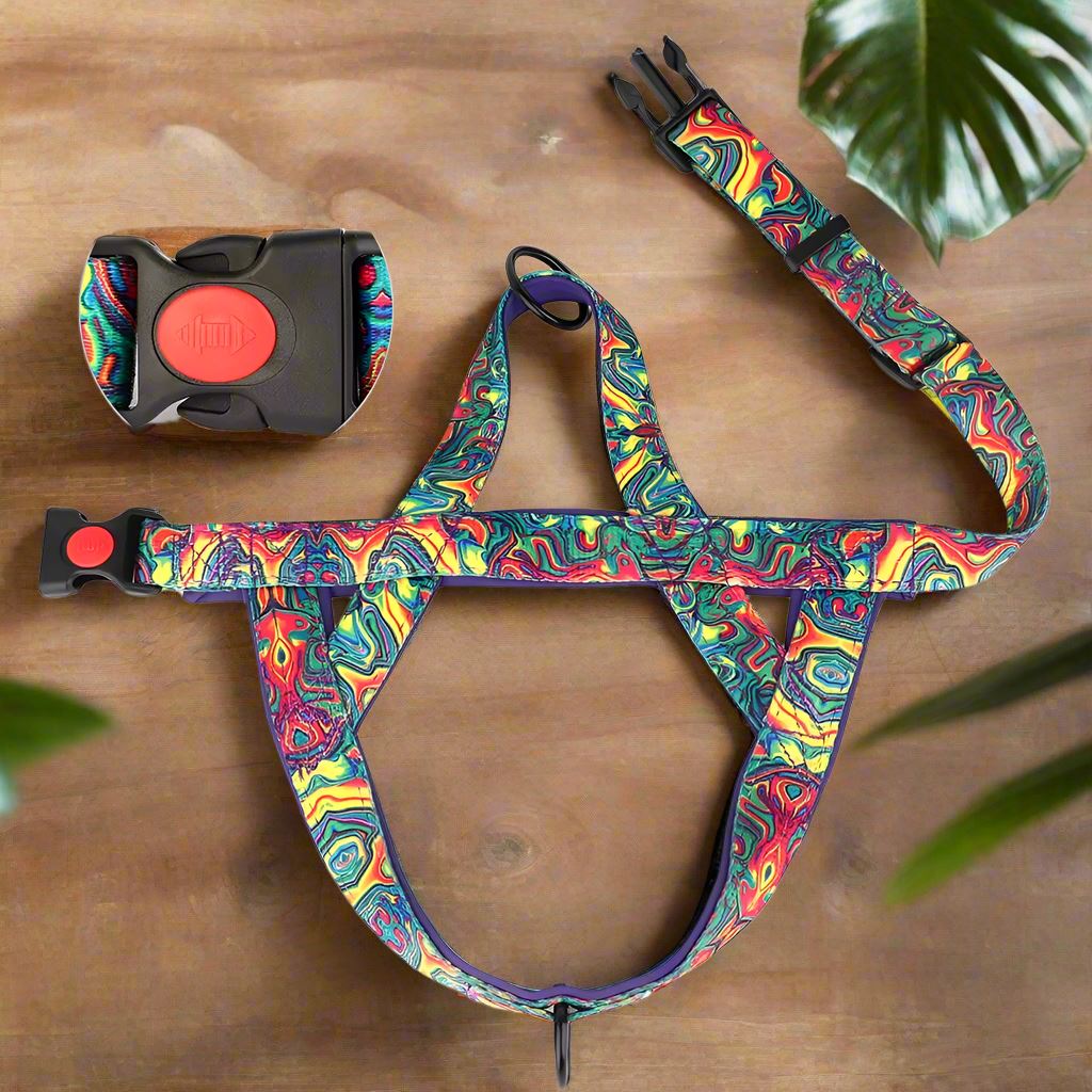 Harnais pour chien - DogSafeHarness™ - Violet - Amour de chien